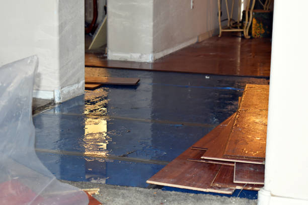 Professional Basement Water Removal technician working in Wentworth, NH